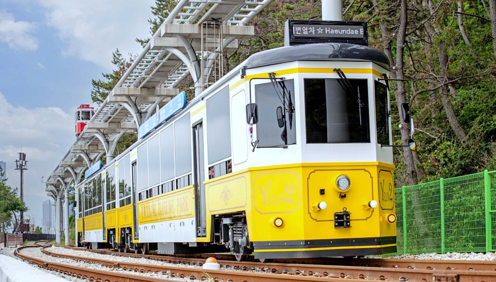 [1��2�ϡڸ���������]�λ�����!!�Ķ��ϴð��Բ��ϴ��ؿ����������ũ+����վϰ���+��ȭ����������+�ʸ��뽣+ap��ȸ��+�ڰ�ġ�����+û�������ͳ�