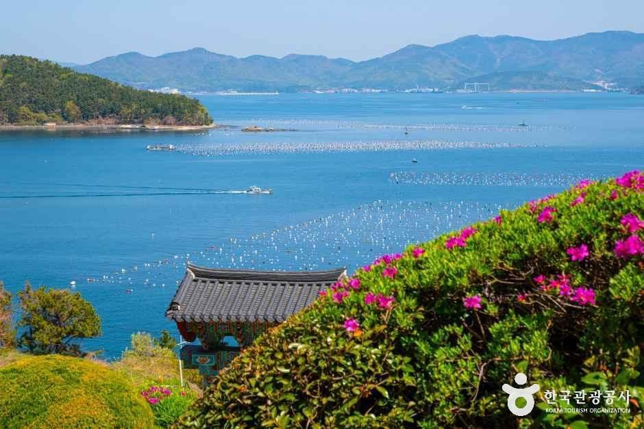 [1��2�ϡڸ���������]��¦1ź(â��+����)�ٴ�ǰ�� ���Ǻ�!â�������+��Ʈ����+Ȳ�ݵ�����~����+������Ȳ���뷹��+����ž������+���ط�+�ֶ�Ÿ��