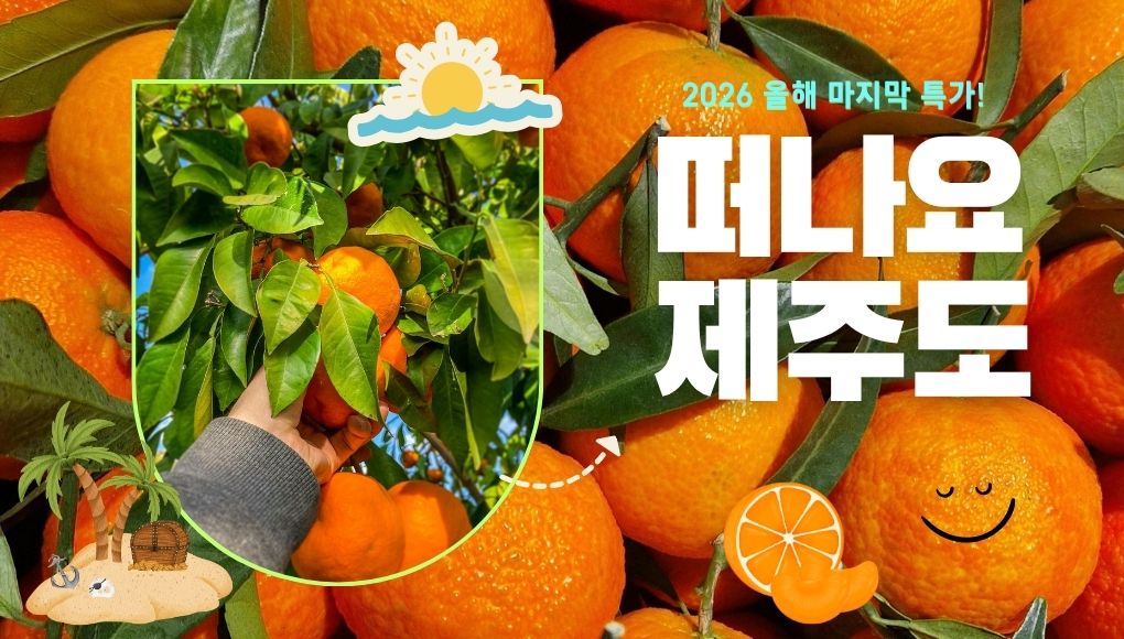 [2��3��](��2ȸ���)2026���� ������ Ư��! ��ġ�� ��!!�ֵ�������~���ְ��ֵ���ü��🍊🍊+�������׸���ũ+��õ��+���屼+��������鵿�� ��